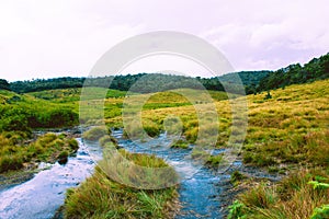 Biodiversity of Horton Plains National Park,Srilanka