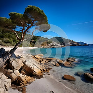 Biodola Beach in Italy,located along the Mediterranean Sea