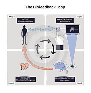 Biofeedback loop shows detecting physiological state, amplifying feedback, and regulating ...