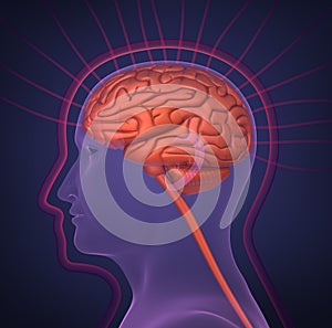 Biofield and human brain