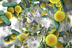 Biofilm of antibiotic resistant bacteria