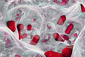 Biofilm of bacterium Acinetobacter baumannii