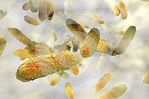 Biofilm containing bacteria Klebsiella photo