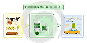 Biofuel Production Infographics