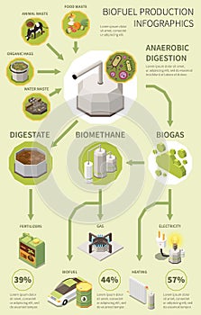 Biofuel Production Infographics photo