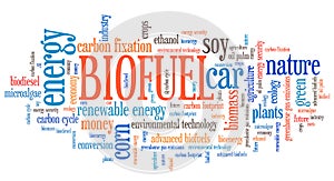 Biofuel word cloud