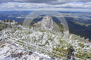 biog rock and juniper forest. Ceahlau mountain