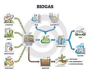 Biogas or bio gas division for energy consumption and sources outline diagram photo