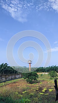 biogas flue gas combustion chimney