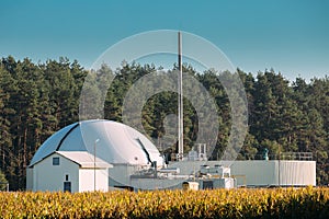 Biogas Plant Or Bioreactor For Fermentation Of Chicken Manure