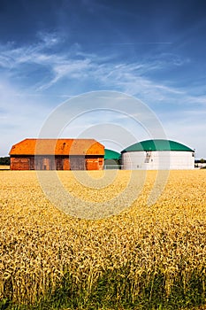 Biogas plant on a farm