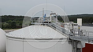 Biogas plant sludge