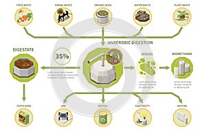 Biogas Production Infographics
