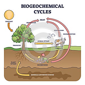 Biogeochemical cycle as natural substance circulation pathway outline diagram photo