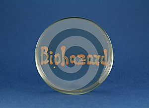 Biohazard word inscription by living bacteria on petri dish