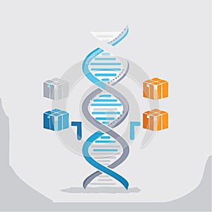 Bioinformatics Analyzing the Genetic Code