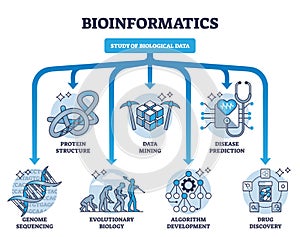 Bioinformatics as study and research of biological data outline diagram photo