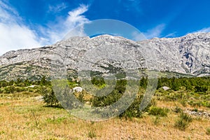 Biokovo Mountain And Trees-Makarska, Croatia