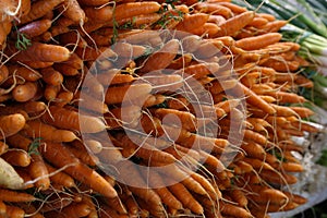 Biologic, natural cultivated juicy carrots on a market counter