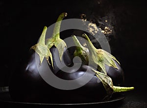 Biologic raw eggplants over black bowl