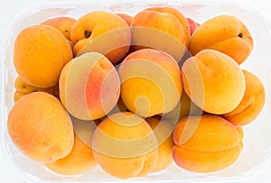 Biological apricots