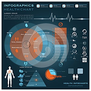 Biological Clock Health And Medical Infographic Infocharts