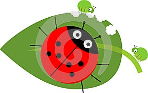 Biological control of aphids. Stylized cute cartoon red ladybug on green leaf with aphids in flat style