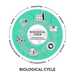 Biological cycle for product, consumption diagram infographic banner template with icon vector has production, product, use phase