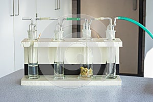 Biological experimental setup to demonstrate dissimilation