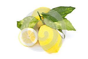 Biological lemon