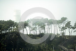 Biological Park of S.Paio in the fog, in Vila Nova de Gaia, Porto, Portugal. photo