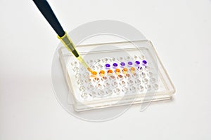 Biological research in a scientific laboratory.