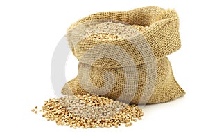 Biologically grown organic buckwheat in a burlap bag