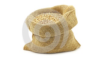 Biologically grown organic buckwheat in a burlap bag