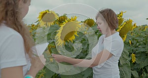 Biologist or agronomist, make measurements on the field of sunflowers.