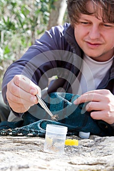 Biologist collecting larvas