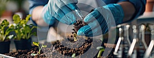 a biologist conducts experiments on the soil