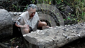 Biologist examine Fungus