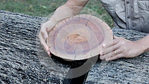 Biologist examine Rings on a Tree