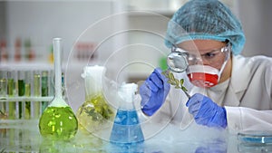 Biologist examining plant through magnifying glass, pesticides development