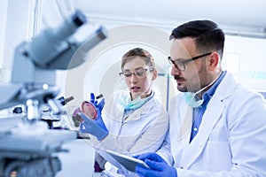 Biologist examining samples in petri dishes in laboratory