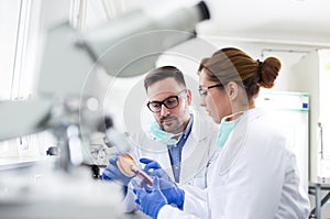 Biologist examining samples in petri dishes in laboratory