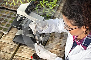 Biologist experimenting with soil and sprouts