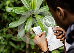 Biologist in a forest researching photo