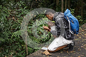 Biologist in a forest researching