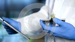 Biologist holding new sort of crops, using tablet for recording research results