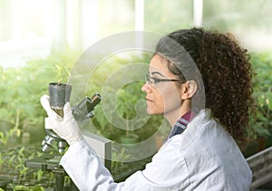 Biologist holding pot with sprout