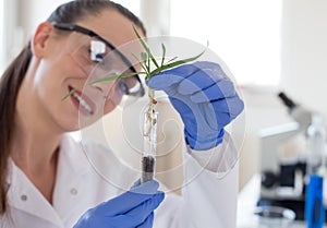 Biologist holding seedling above test tube
