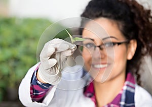 Biologist holding sprout with gloves