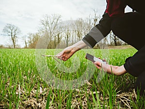 Woung agriculture woman biologist inspecting the harvest